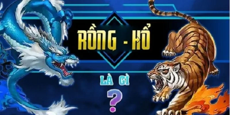 Tổng quan về rồng hổ 
